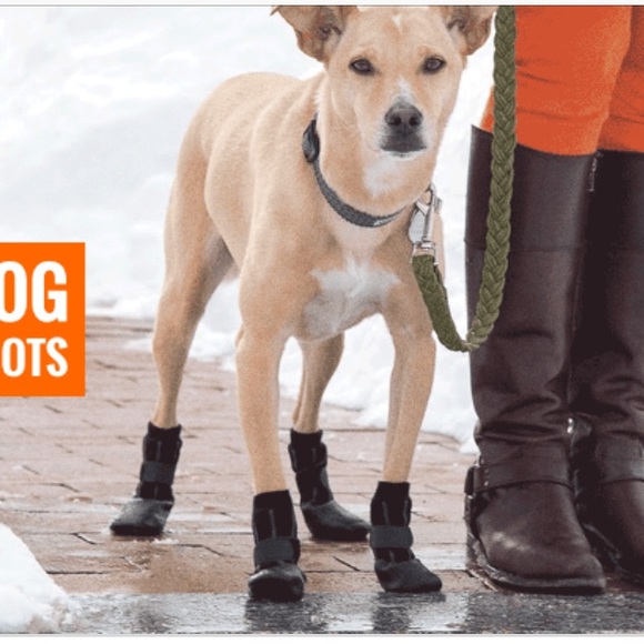 top paw footwear for dogs